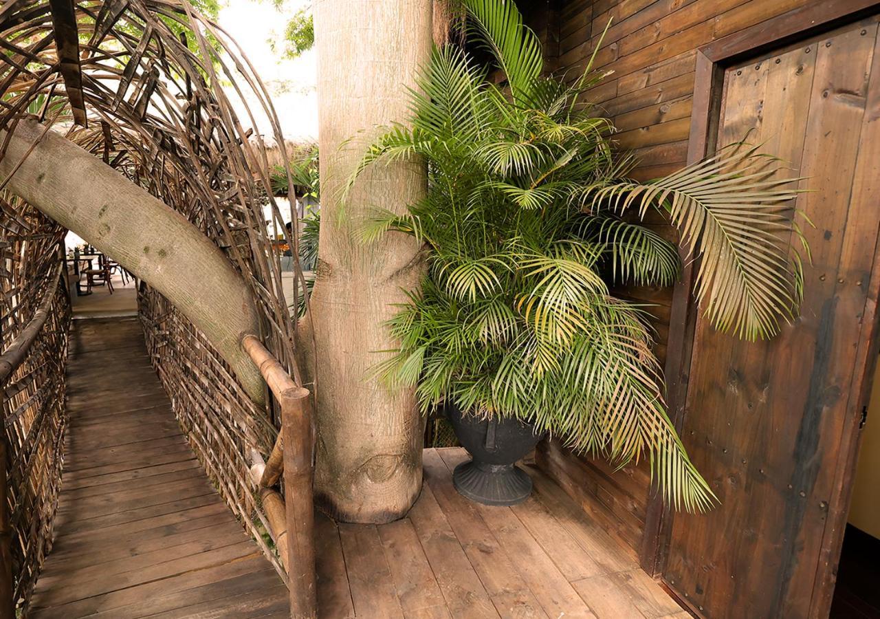 Casa Candela ซานเฮโรนิโม ภายนอก รูปภาพ